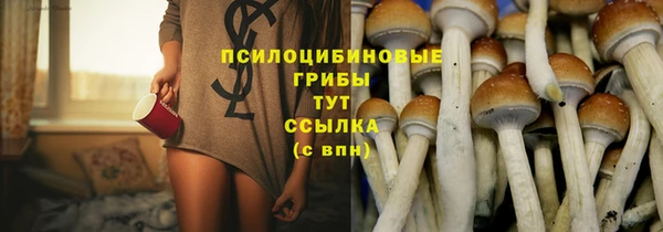2c-b Алексеевка