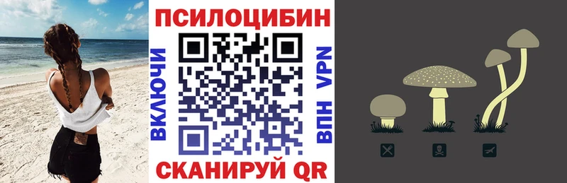 Галлюциногенные грибы Psilocybe  mega вход  Лихославль 